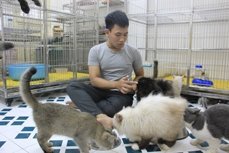 Thành Trung bên những chú mèo quý.