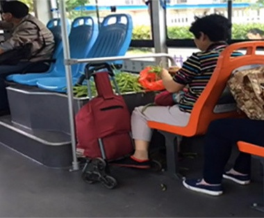 Chị em nội trợ tranh thủ nhặt rau trong lúc ngồi trên xe buýt. Tuy nhiên, hình ảnh này không những phản cảm mà trông rất mất vệ sinh.