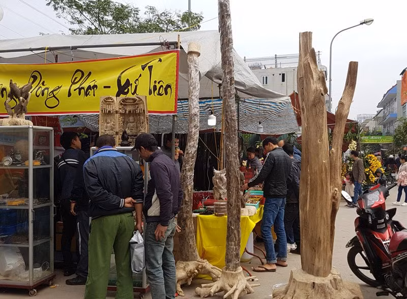 Ba cây trầm hương có chiều cao hơn 2 mét, được dựng trên một mặt gỗ làm giá đỡ. Rất nhiều khách đi chợ hoa đã tập trung để ngắm nhìn loài gỗ quý được ví ngang với vàng.