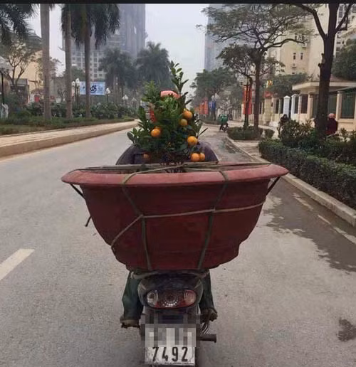 Một mùa xuân nho nhỏ (Ảnh: Facebook)