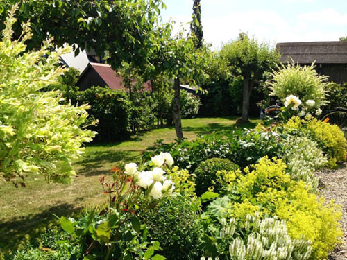 Khu vườn rộng rãi nhà Đoan Trang có đủ các loại cây hoa xứ lạnh khác nhau.