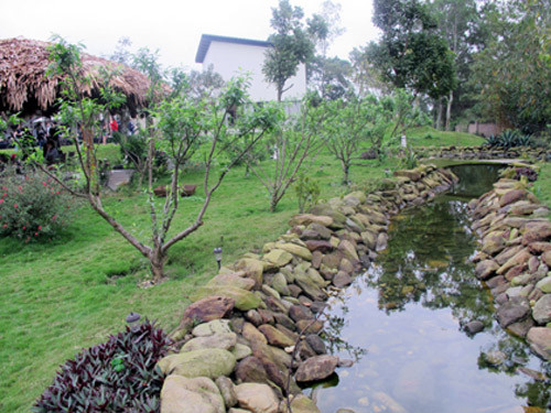 Nữ ca sĩ chia sẻ từ ngày chuyển nhà về ngoại thành chị được làm những công việc mà trước đây không bao giờ nghĩ mình có thể làm được như trồng rau, nuôi cá, nuôi gà,...