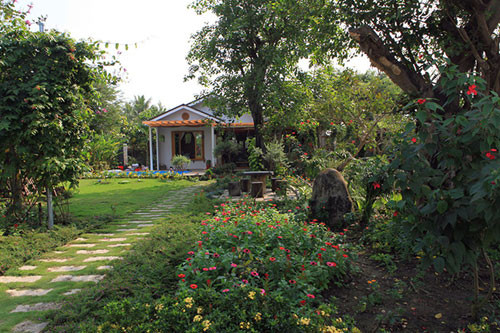 Trong nhà vườn đẹp của Ngô Mai Trang trồng rất nhiều loại cây ăn quả như mít, ổi, bưởi, khế....