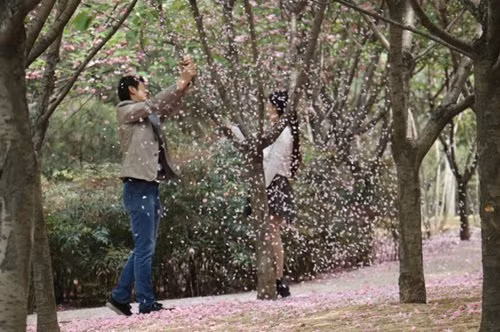 Sau khi những hình ảnh của cặp đôi này bị một cư dân mạng chụp lại và đăng tải trên mạng xã hội, đã thu hút được sự chú ý ngay lập tức.