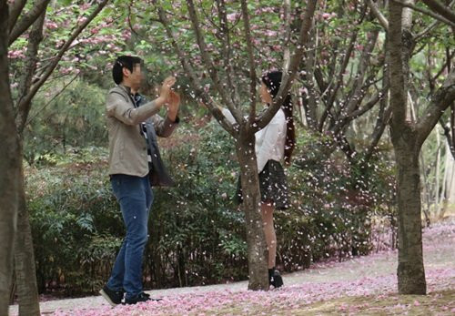 Bên cạnh những bình luận "ném đá" cặp đôi trẻ tuổi. Nhiều người còn tỏ ra ngao ngán với những hành động vô ý thức, thiếu văn minh của một bộ phận giới trẻ Trung Quốc, bất chấp tất cả để đạt được mục đích của mình. Trong khi đó cách đây không lâu, báo đài Nhật Bản đã đưa tin về các du khách Trung Quốc trèo hẳn lên cây hoa anh đào ở Nhật chỉ để có những bức ảnh đẹp.