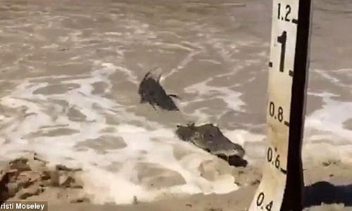 Kinh hai ca sau rinh nguoi ben duong ngap lu