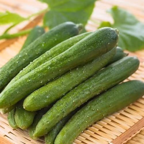 Dưa chuột cũng được coi là loại quả ngấm thuốc trừ sâu nhanh chóng và lưu lại lượng thuốc trong quả rất nhiều. Thực tế, có người ăn dưa sau khi đã cẩn thận ngâm rửa bằng các loại dung dịch mà vẫn bị ngộ độc như thường. Với nhiều người, dưa chuột làm món sa lát ăn kèm là khá ngon, tuy nhiên cần hạn chế với loại rau quả này.