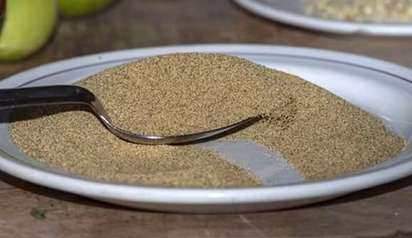 Trứng muỗi (Mêxicô). Có vẻ người Mêxicô rất thích ăn trứng của các loại động vật khi họ không bỏ sót một loại trứng nào từ trứng kiến cho đến trứng muỗi. Chúng được sấy khô nướng lên và có vị như ớt và chanh cho nên thật khó để xác định hương vị riêng của chúng.