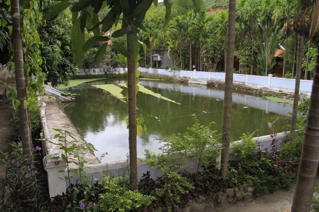 Vườn cây, ao cá...