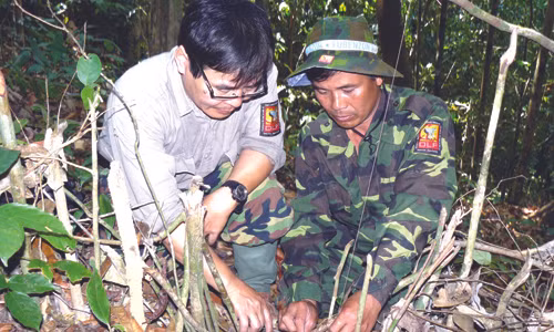 Chuyen tinh cam cua gia dinh khi