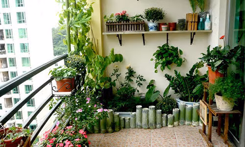 Truong hop nao can dat cay canh de hoa giai bot sat khi?