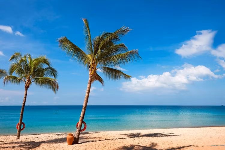 7. Đảo Phú Quốc: Phú Quốc là điểm nghỉ dưỡng lý tưởng để bạn “tách rời thế giới”, với những bãi cát trắng đẹp như tranh vẽ và hoàng hôn tuyệt đẹp. Bạn cũng có thể đi theo những con đường đất đỏ để khám phá hòn đảo, nơi có các vườn tiêu và một công viên quốc gia hoang sơ.