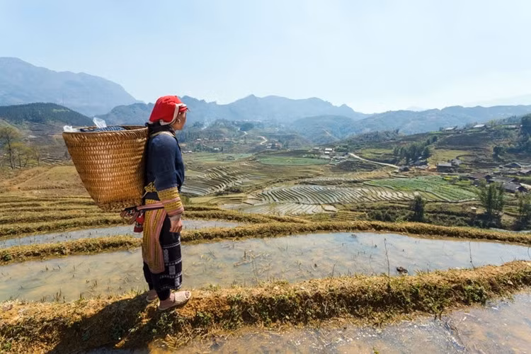 2. Sa Pa: Khu rừng núi hùng vĩ phía bắc của Sa Pa mới là nơi được lòng du khách quốc tế hơn thị trấn đông đúc. Khi trời quang, những thửa ruộng bậc thang và dãy núi cao sừng sững hiện ra trước mắt. Những người đam mê trekking coi Sa Pa là điểm dừng chân trước khi tới các ngôi làng dân tộc thiểu số.