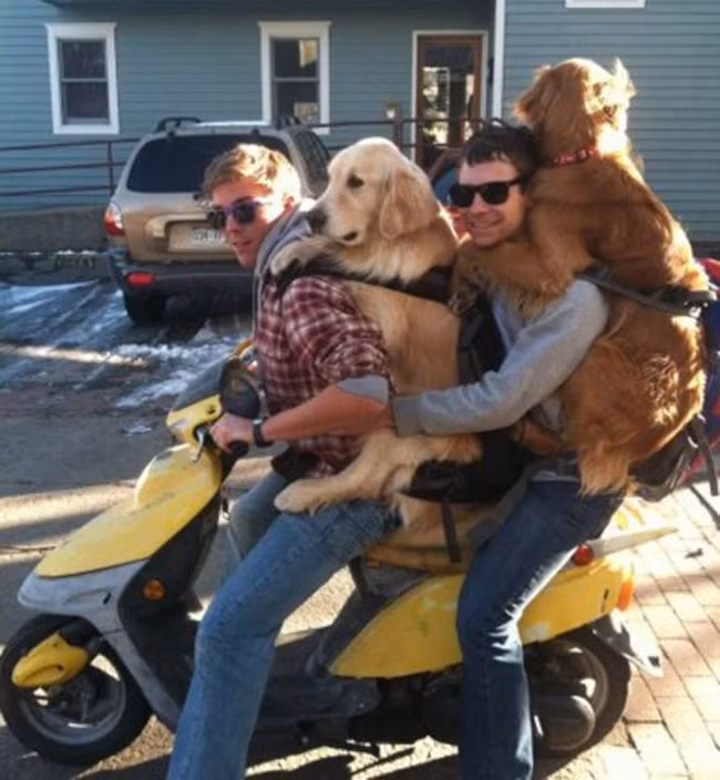 Các anh đang chở quá số người cho phép.