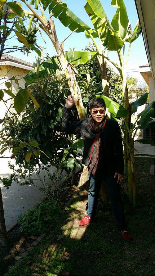 Nhiều người nói vui rằng ở Mỹ cứ thấy nhà nào trồng chuối thì đích thị chủ nhân là người Việt.