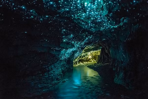 3. New Zealand Hang động đom đóm Waitomo nằm ngay bên ngoài thị trấn Waitomo trên đảo Bắc của New Zealand, là một điểm đến nổi tiếng, thu hút nhiều khách du lịch đến tham quan bởi số lượng lớn đom đóm sống trong các hang động. Những con đom đóm có tên khoa học là Arachnocampa Luminosa, là loài sinh vật tạo ra một loại ánh sáng màu xanh da trời pha lẫn xanh lá cây và chỉ được tìm thấy tại New Zealand.