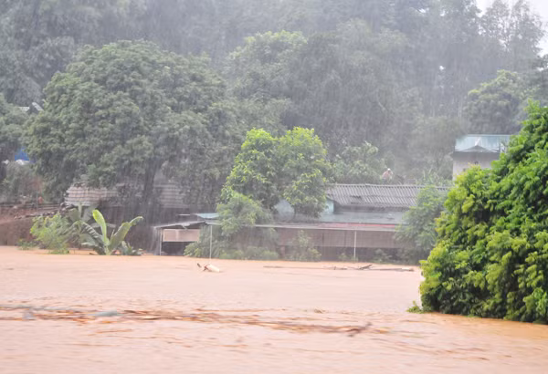 Ghi nhận của phóng viên tại hiện trường các điểm ngập lụt, do lũ lên cao bất ngờ vào ban đêm, người dân không kịp sơ tán tài sản nên đã có nhiều thiệt hại. TP. Lào Cai đã huy động các lực lượng đưa người dân đến nơi an toàn và di chuyển tài sản của nhân dân khỏi vùng ngập lụt.