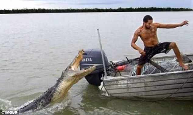 Khi con cá sấu lao lên, chàng trai 27 tuổi này đã may mắn nhảy tránh được.
