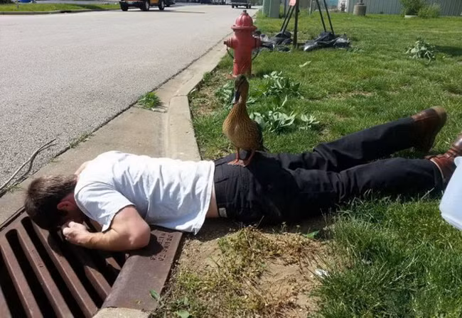 Tìm xem có "gấu" của em ở dưới đấy không ông anh.