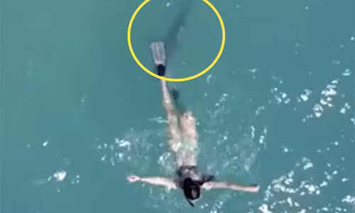 Ca map bam sat got co gai mac bikini lan bien o My