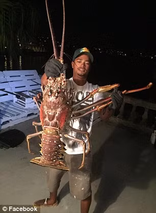 Ngay sau khi bắt được con “quái vật” tôm hùm khổng lồ này, Tristan Loescher đã chụp ảnh, đăng tải lên mạng xã hội khoe chiến tích. Trong vòng 48 giờ, bức ảnh nãy đã nhận được hơn 6.000 lượt chia sẻ. Theo Q13 Fox, anh Tristan Loescher vô tình “tóm” được con tôm hùm trên khi đang đi câu cá chỉ vàng. Sau đó, người đàn ông may mắn này quyết định thả con tôm hùm này xuống biển.