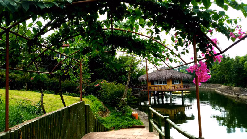 Chỉ 1 giờ chạy xe về phía chân núi Ba Vì, bạn có thể cắm trại hay ghé thăm trang trại trong ngày như một nơi nghỉ cuối tuần thoải mái, trong lành và hướng tới thiên nhiên.