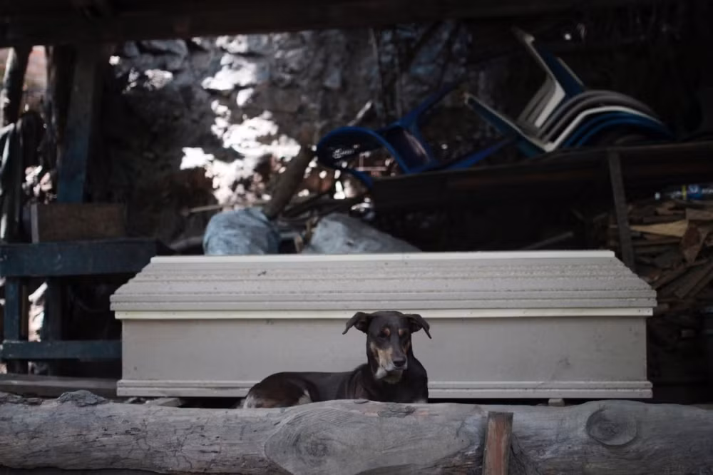 Các loại quan tài cũng có nhiều phân khúc.