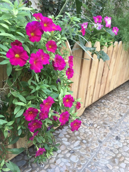 Toàn bộ hàng rào được đóng bằng gốc chắc chắn và rất nhẹ.