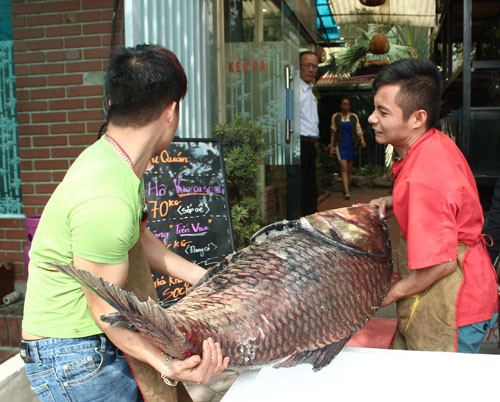 Hai người mới khiêng nổi con cá hô đỏ dài 1,4m.