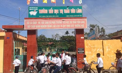 Học sinh trường Tiểu học Tiên Lãng, TP Hải Phòng. Ảnh: Pháp Luật TP.HCM.