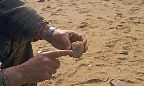 Chuyên gia khảo cổ đã có khám phá chấn động tại Việt Nam.