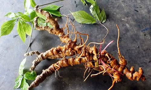 Viet Nam co sam tot nhat the gioi, “khac tinh” cua ung thu