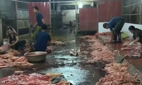 Hanh trinh mo tron phan, hoa chat boc mui hoi thoi… len ban an