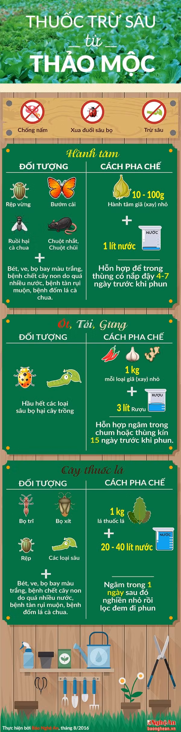 [Infographic] Cach lam thuoc tru sau bang hanh tam, ot, toi, gung