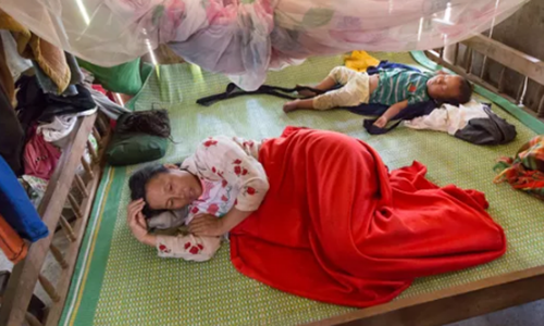 Phong su pha rung cua VTV Can phai xin loi luong dan