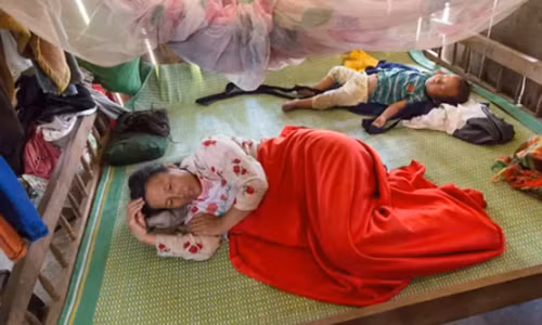 Phong su pha rung cua VTV Can phai xin loi luong dan