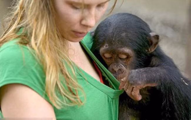 Sao không thấy cái gì vậy chị gái?