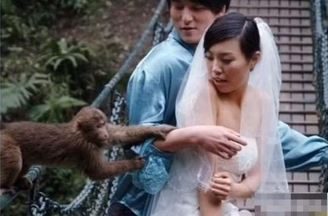 Sao em nỡ bỏ rơi anh để đi lấy chồng vậy?