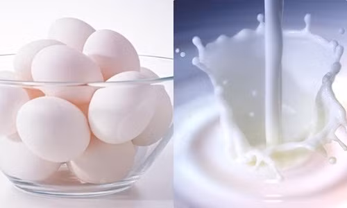 4. Trứng gà và sữa cho vòng 1 nở nang. Trong trứng gà và sữa chứa một lượng vitamin A, B có khả năng tổng hợp các hormone trong cơ thể phụ nữ. Bên cạnh đó, hai loại thực phẩm này còn cung cấp một lượng protein, chất béo cho các mô mỡ hình thành ở ngực làm cho vòng 1 phát triển.