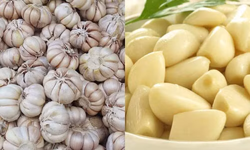 Doc chieu giup nhan dien toi Trung Quoc chi 5 giay