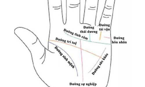 So huu duong chi tay nay, at 