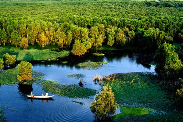 Rừng tràm Trà Sư Rừng tràm Trà Sư với nét hài hòa, nhẹ nhàng độc đáo điển hình cho vẻ đẹp của miền Tây Nam Bộ là một điểm đến không thể bỏ qua khi bạn du lịch miền Tây. Đường vào rừng tràm Trà Sư đi qua một con đường đất đỏ, hai bên đường là những đồng lúa mênh mông xen lẫn những hàng cây thốt nốt cao ngút ngàn. Rừng tràm vào mùa nước nổi, trên mặt nước trải đầy bèo tấm trông như những tấm thảm nhung xanh mướt, đẹp ngỡ ngàng khiến ai cũng phải trầm trồ khen ngợi.