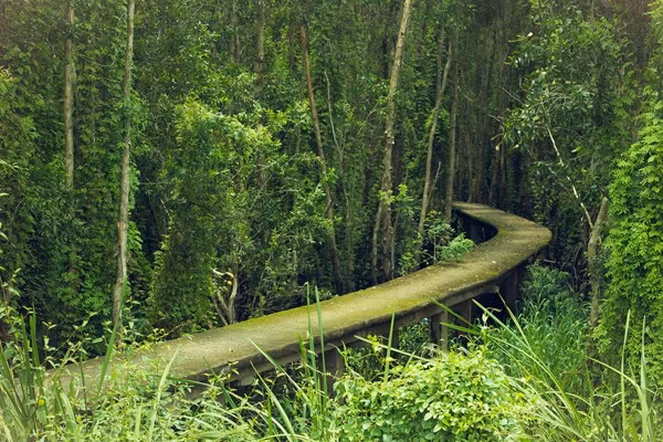 Vào mùa khô, lá tràm rụng đầy đường, ánh nắng mặt trời xuyên qua từng tán lá dày, chiếu rọi xuống khiến nơi đây càng thêm phần huyền ảo, thơ mộng. Giữa khu rừng thanh vắng, tiếng bước chân giẫm trên lá tràm khô xào xạc, tiếng chim hót véo von nghe như bản tình ca mùa hạ khiến bạn phải say mê. Hãy xách balô lên và tới đây ngay để được hòa mình vào thiên nhiên xanh mướt, đón nhận nguồn năng lượng dồi dào từ mẹ thiên nhiên ban tặng, bạn sẽ như được tiếp thêm sinh lực để chuẩn bị cho một cuộc sống mới với bộn bề lo toan.