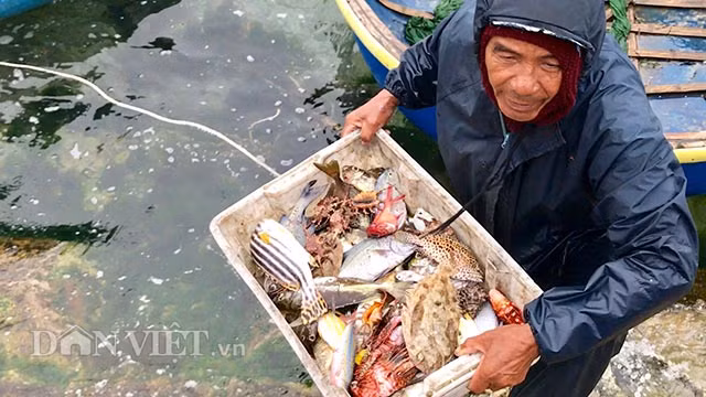 Thuyen, thung “dan tran” vay bat ca ben them dao Ly Son-Hinh-4