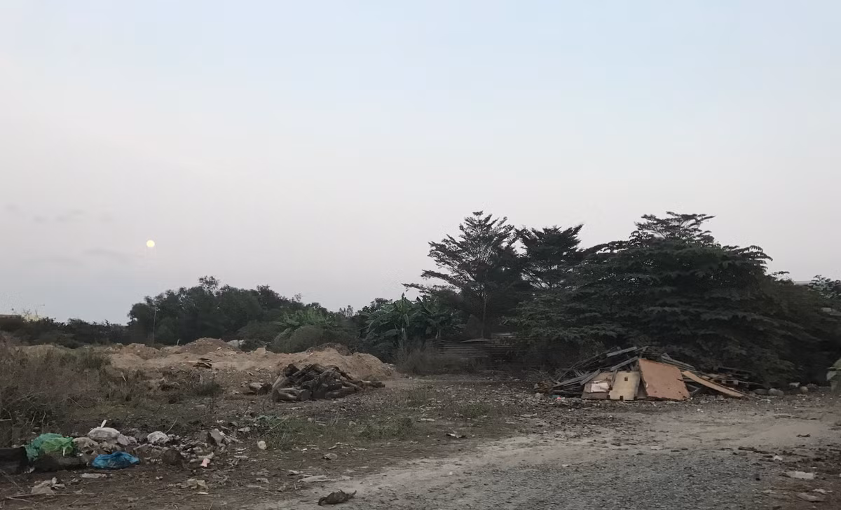 Năm 2011, khu nhà ở giá rẻ này bắt đầu được bàn giao, tạo chỗ ở mới cho các hộ dân ở khu vực giải tỏa thuộc các dự án cải tạo bờ kênh Tân Hóa - Lò Gốm, tiêu thoát nước và cải thiện ô nhiễm kênh Tham Lương - Bến Cát - rạch Nước Lên.