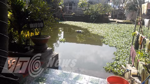 Vi sao “nha ngoai cam” khang dinh tim thay mo cu Nguyen Binh Khiem?-Hinh-5