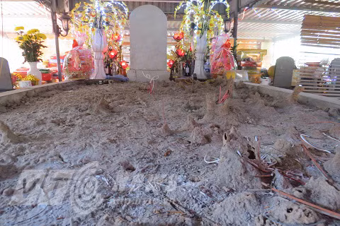 Vi sao “nha ngoai cam” khang dinh tim thay mo cu Nguyen Binh Khiem?-Hinh-3