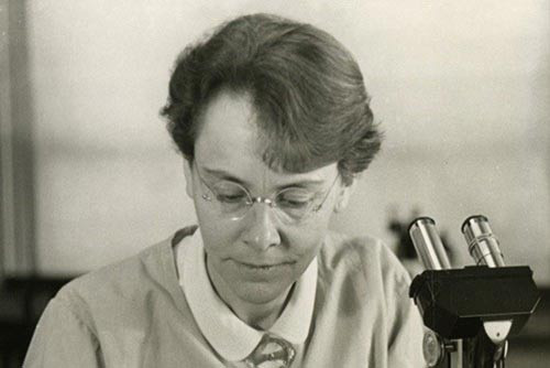 8. Barbara McClintock (1902 – 1992) Barbara McClintock được xem là một trong những nhà khoa học về di truyền có tầm ảnh hưởng mạnh mẽ nhất, có lẽ chỉ sau Gregor Mendel (cha đẻ của di truyền hiện đại). Tuy nhiên, phải mất một khoảng thời gian khá lâu về sau, nhân loại mới kính trọng và công nhận những đóng góp của bà trong lĩnh vực này. Bà đã có nhiều thành tựu trong di truyền học tế bào, và là người đầu tiên tạo ra bản đồ gen của bắp. Barbara đã có nhiều nghiên cứu chuyên sâu về chủ đề này, nhưng giới khoa học bấy giờ vẫn giữ thái độ hoài nghi với các phát hiện của bà. Sau này, những thành tựu đó được “đòi lại công bằng” và bà đã giành giải Nobel về sinh học năm 1983.
