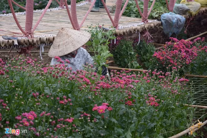 Kiem boi tien tu viec trong hoa giua long ho sen-Hinh-3