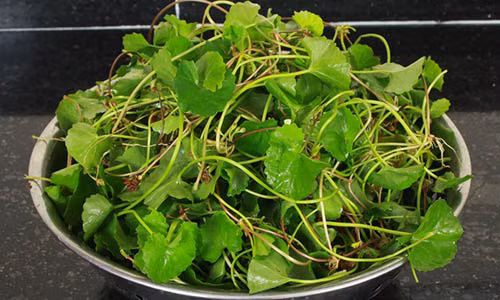 Tac dung khong ngo khi thuong xuyen uong nuoc rau ma